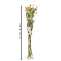 daiktų Džiovintų gėlių puokštė, elegantiška džiovintų gėlių puokštė svetainei, 50 cm