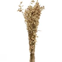 daiktų Džiovintų gėlių drebėjimo žolė natūrali Briza dekoratyvinė žolė 60cm 100g