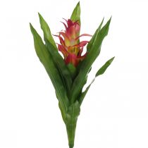 daiktų Bromeliad dirbtinė Rožinė Dirbtinė gėlė klijuoti 54cm