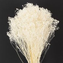 daiktų Šluotos žiedai, balinti, džiovinti, balti, ilgai galiojantys, 100 g