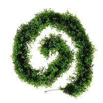 daiktų Boxwood Girland Green L170cm