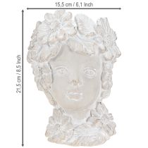 daiktų Biustas pagamintas iš lietaus akmens skulptūros moters plantatorius antikvarinis H21,5 cm