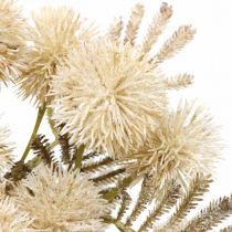 Dirbtinis erškėčio kremas Drylook Globe Thistle 33cm 3vnt