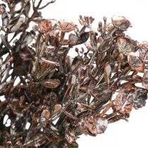 Dirbtiniai augalai ruda rudens puošmena žiemos puošmena Drylook 38cm 3vnt