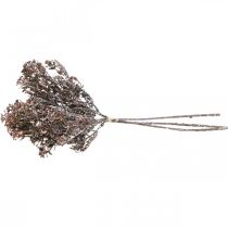 daiktų Dirbtiniai augalai ruda rudens puošmena žiemos puošmena Drylook 38cm 3 vnt