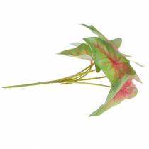 daiktų Dirbtinis kaladijos šešialapis žalias/rožinis dirbtinis augalas kaip tikras!