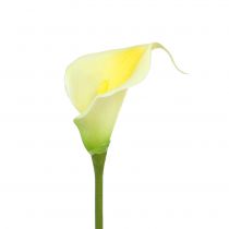 daiktų Dirbtinė Calla Yellow 57cm 12 vnt