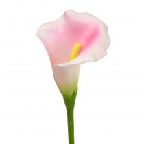 daiktų Calla dekoratyvinė gėlė rožinė 57cm 12vnt