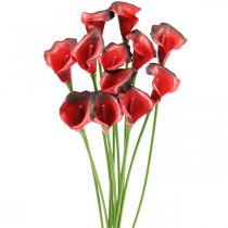 Calla red bordo dirbtinės gėlės kekėje 57cm 12vnt