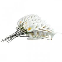 daiktų Calla medium ant vielos 50 vnt