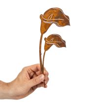 daiktų Sodo kuolas kalio žiedams, rūdžių spalvos, kapams ir floristiniams dirbiniams, 25 cm, 6 vnt.