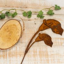 daiktų Sodo kuolas kalio žiedams, rūdžių spalvos, kapams ir floristiniams dirbiniams, 25 cm, 6 vnt.