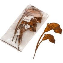 daiktų Sodo kuolas kalio žiedams, rūdžių spalvos, kapams ir floristiniams dirbiniams, 25 cm, 6 vnt.