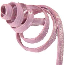 daiktų Cukranendrių spiralė Cukranendrių kūgis Cukranendrių asorti uogų spalvos 30 cm 75 vnt.