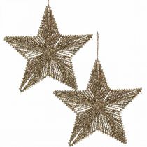 Kalėdų eglutės papuošimai, Advento papuošimai, žvaigždžių pakabukas Golden B25,5cm 4vnt