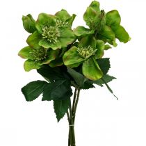 daiktų Kalėdinė rožė Lenten rose Dirbtinės gėlės Hellebore žalia L34cm 4vnt