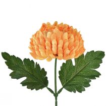 daiktų Chrizantema oranžinė Ø7cm L18cm 1 vnt