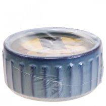 daiktų Citronella žvakė vazonėlyje Kvapi žvakė citrina Ø18cm H8cm