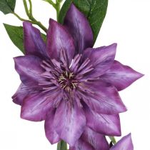 Dirbtinis klematis, šilkinė gėlė, dekoratyvinė šakelė su klemačio žiedais violetinė L84cm