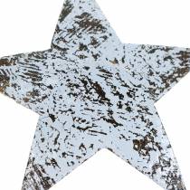 daiktų Kokoso žvaigždė balta skalbta 10cm 20vnt