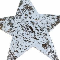 daiktų Kokoso žvaigždė balta skalbta 10cm 20 vnt