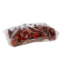 daiktų Compacta rozetė oranžinė 40 vnt