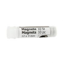 daiktų Korsažo magnetas 12 x 3 mm 10 vnt
