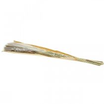 daiktų Džiovintos žolės Pampas žolė natūrali kekė 80cm 100g
