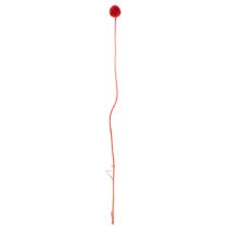 daiktų Džiovintos Craspedia gėlės, dažytos, ilgais stiebais, 55 cm, 20 vnt.