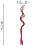 daiktų Džiovintos garbanotos gluosnio šakelės kūrybinei floristikai ir namų aksesuarams 80 cm 70 g