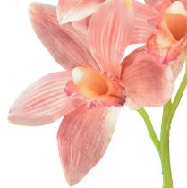 daiktų Cymbidium orchid dirbtinė 5 žiedai persikas 65cm