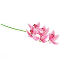 daiktų Cymbidium dirbtinė orchidėja 5 žiedai rožinės spalvos 65cm