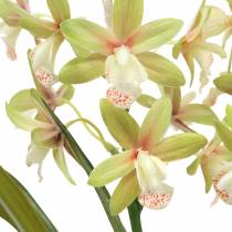 Orchid Cymbidium Green vazone Dirbtinis H46cm