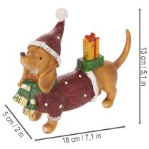 daiktų Dekoratyvinė takso figūrėlė su dovanų pakuote ir kepure, 18 cm