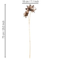 daiktų Dirbtinė jurgino gėlė, ilgakotė su dviem žiedais, 75 cm