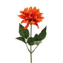 Dahlia Orange 28cm 4vnt