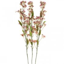 daiktų Dekoratyvinė šakelė su gėlėmis dirbtinė rožinė Dafnės šakelė 110cm 3vnt