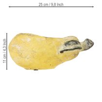 daiktų Dekoratyvinis kriaušių vazonas, rudeninis, betoninis, 25 × 13 × 11 cm