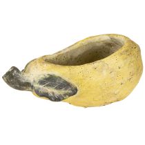 daiktų Dekoratyvinis kriaušių vazonas, rudeninis, betoninis, 25 × 13 × 11 cm