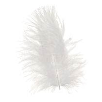 daiktų Dekoratyvinės plunksnos baltos craft reikmenys pavasaris 5-10cm 20g
