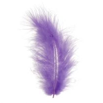 daiktų Plunksnos trumpos 30g šviesiai violetinės spalvos