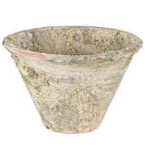 daiktų Dekoratyvinės dervos vazonėlis molinis terakotinis Ø17cm H11cm 2vnt