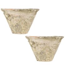 daiktų Dekoratyvinės dervos vazonėlis molinis terakotinis Ø17cm H11cm 2vnt