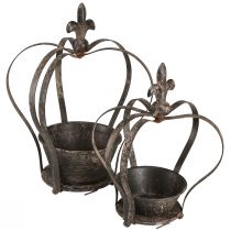 daiktų Dekoratyvinė karūnėlė antikvarinė tamsiai ruda rūdžių H22/27cm rinkinys iš 2 vnt