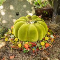 Dekoratyvinis moliūgų flokuotas samanų žalias 32cm