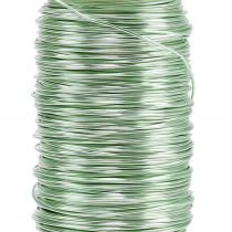 daiktų Deco emaliuota viela mėtų žalia Ø0,50mm 50m 100g