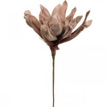 Deco lotoso gėlė dirbtinė lotoso gėlė dirbtinė gėlė ruda L68cm