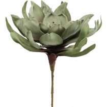 Deco lotoso gėlė dirbtinė lotoso gėlė dirbtinė gėlė žalia L70cm
