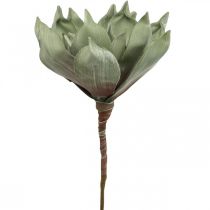 Deco lotoso žiedas, lotoso žiedas, šilkinis žiedas žalias L64cm