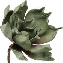 Deco lotoso žiedas, lotoso žiedas, šilkinis žiedas žalias L64cm